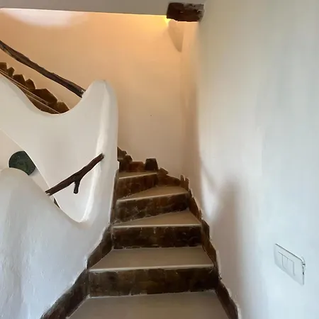 Clara Villa *